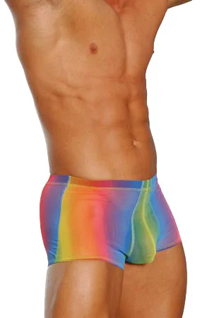 Sheer Rainbow Boxer Brief By NDS Wear - BLOWOUT SALE!